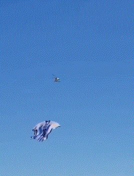 1670957805137055374.gif 动画 (4780).gif